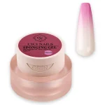 Sponging Gel Corallise