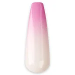 Sponging Gel Corallise - Image 2