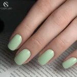 358 – Matcha Cream 8ml - Image 6