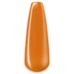 427 – Amber Glow 8ml - Image 2