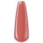 113 – Cinnamon 8ml - Image 2