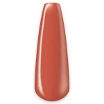114 – Pumpkin Spice 8ml - Image 2