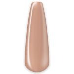 223 – Hazelnut Harmony 8ml - Image 2