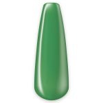 110 – Pine Cone 8ml - Image 3